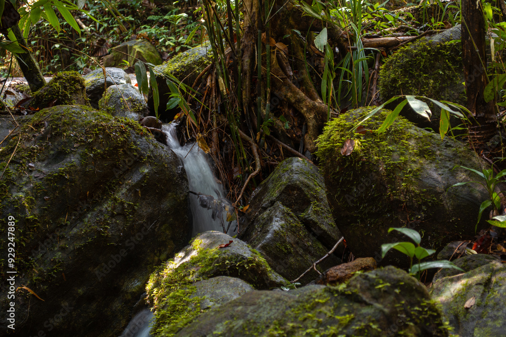 waterfall in the forest