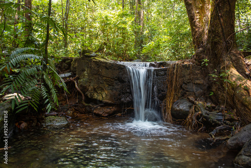 waterfall in the forest