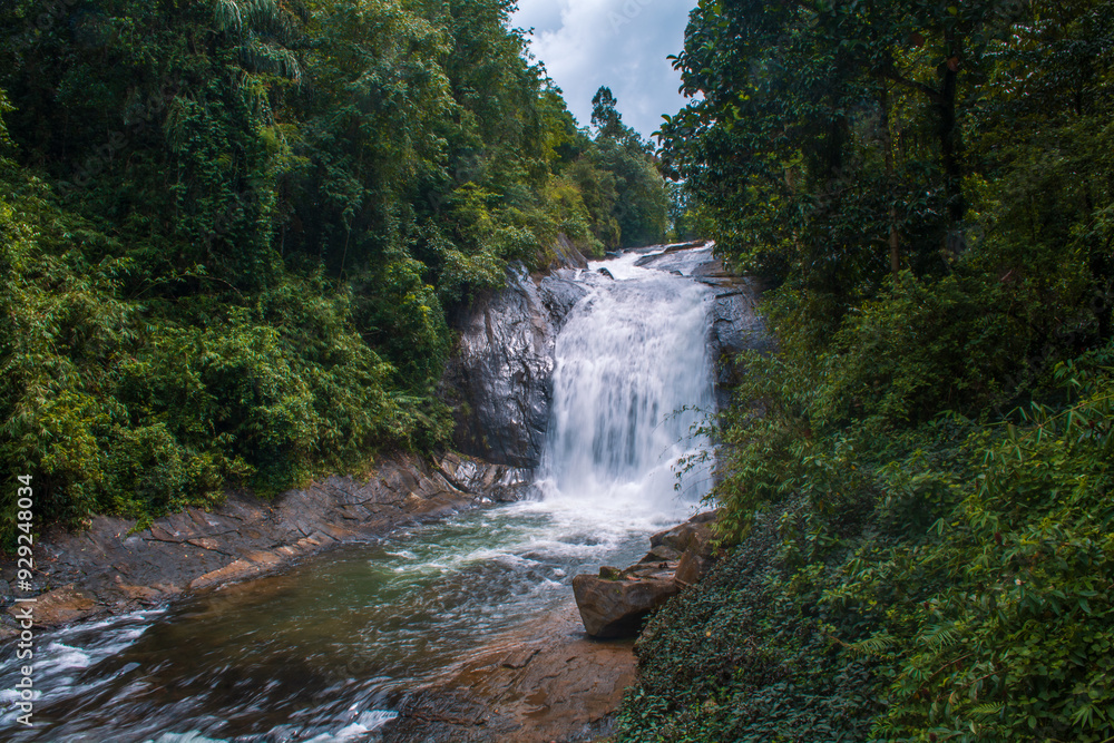 Fototapeta premium waterfall in the forest
