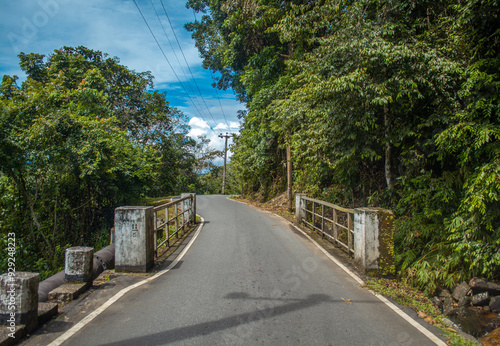 bridge over the river