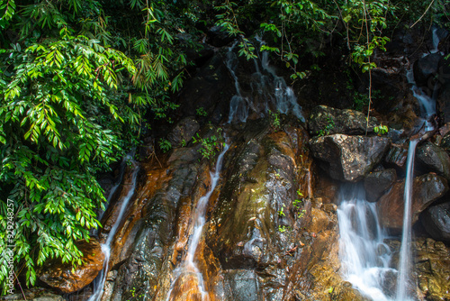 waterfall in the forest