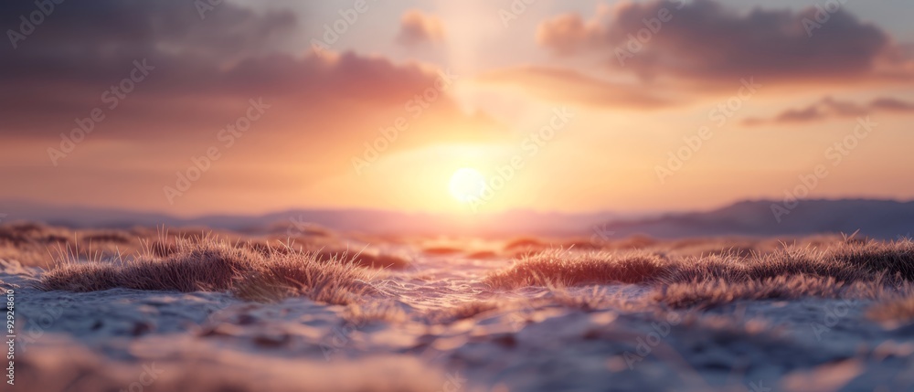 Obraz premium Sun sets over grassy field and bush foreground, cloudy sky background
