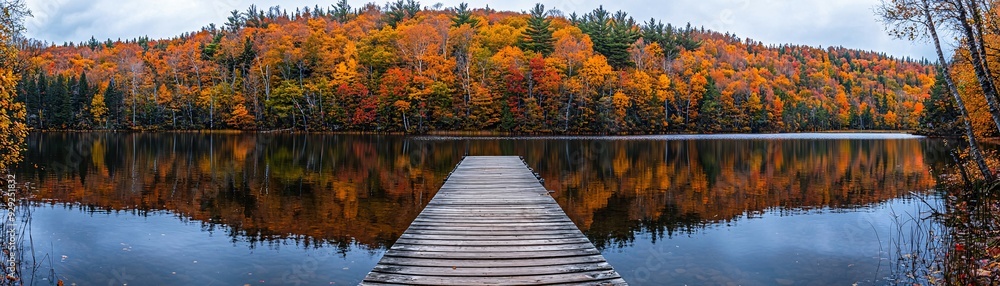 Obraz premium Fall leaves in Autumn season. Lake and river outdoor foliage scenery with free copy space