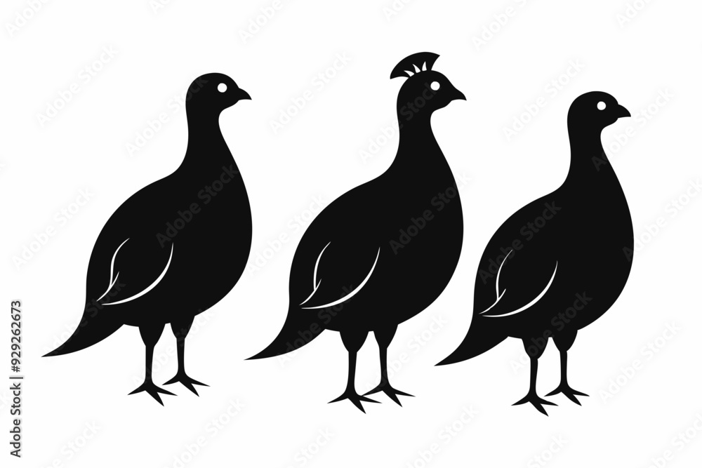 partridge vector silhouette, partridge bird icon vector illustration partridge vector silhouette, partridge bird icon vector illustration
