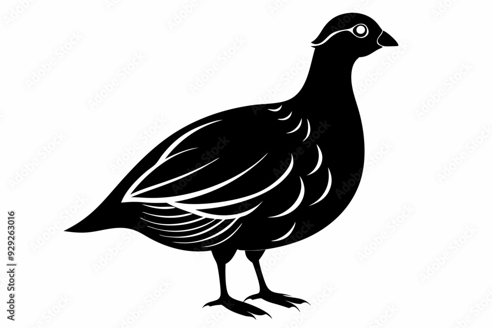 partridge vector silhouette, partridge bird icon vector illustration partridge vector silhouette, partridge bird icon vector illustration
