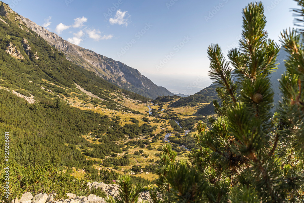 Landscape of a mountain river valley high in the mountain in a summer day,