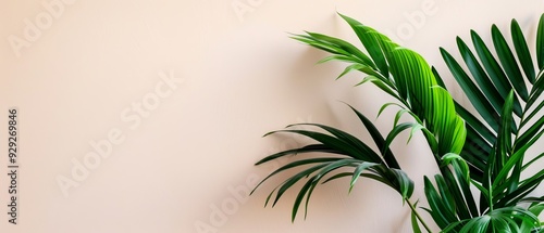  A green plant atop a white wall Nearby, a white vase holds another green plant