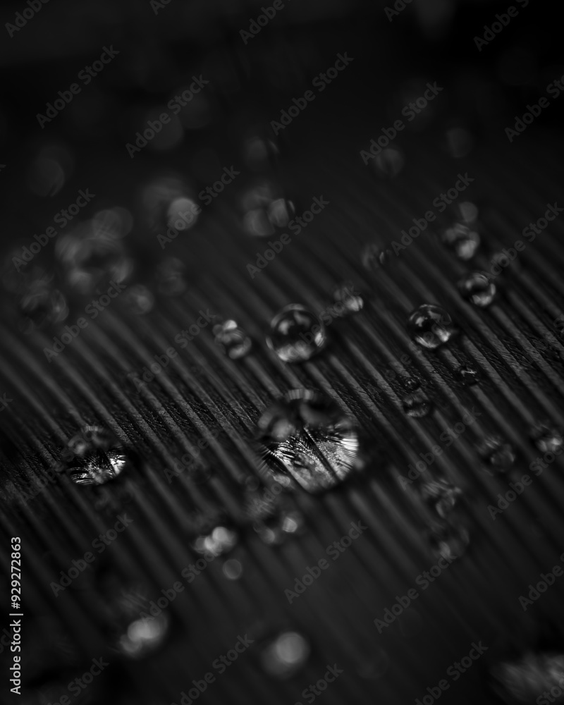 Rain on a Crow Feather Rain on a Crow Feather