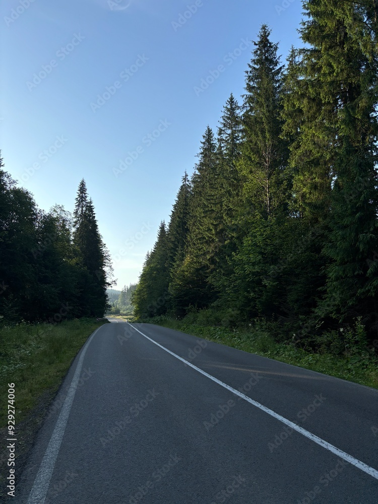 Fototapeta premium road in the mountains