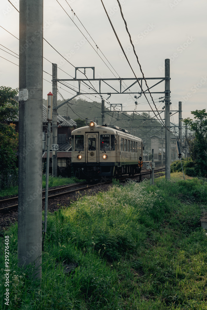 Obraz premium train on the railway