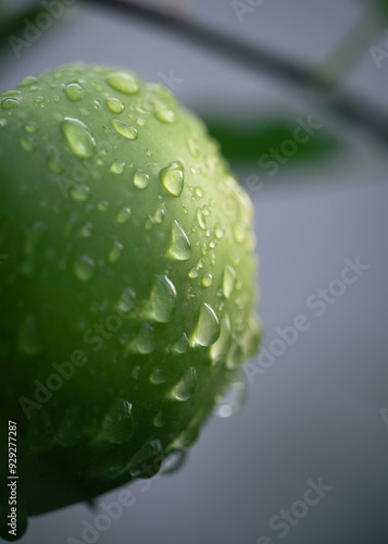 water drops on a green apple