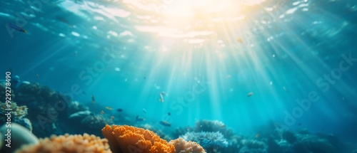  An underwater perspective of a vibrant coral reef with the sun beaming through its water surface