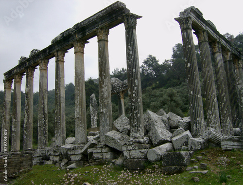 Zeus Lepsynos Temple in Euromos Ancient City located in Mugla, Turkiye  photo