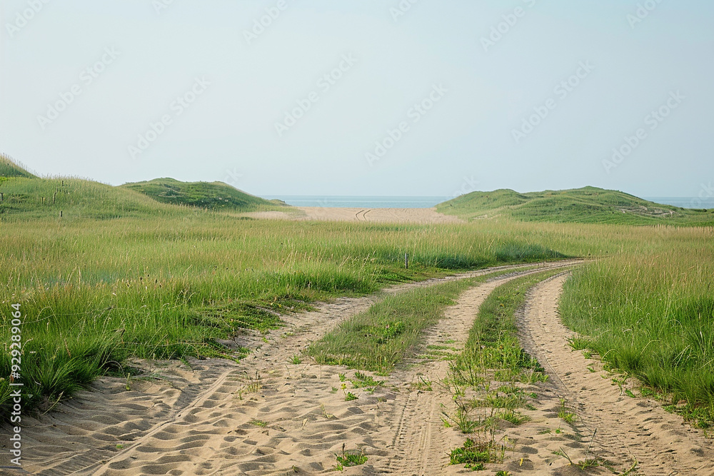 A photo of a beach path leading to grassy hills, a sandy road with bicycle tracks in the sand and green grass, a clear sky, a sandy ground, a grassy field, sand dunes, a beach landscape A photo of a beach path leading to grassy hills, a sandy road with bicycle tracks in the sand and green grass, a clear sky, a sandy ground, a grassy field, sand dunes, a beach landscape