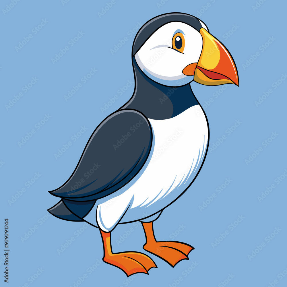 Puffin art vector illustration Puffin art vector illustration