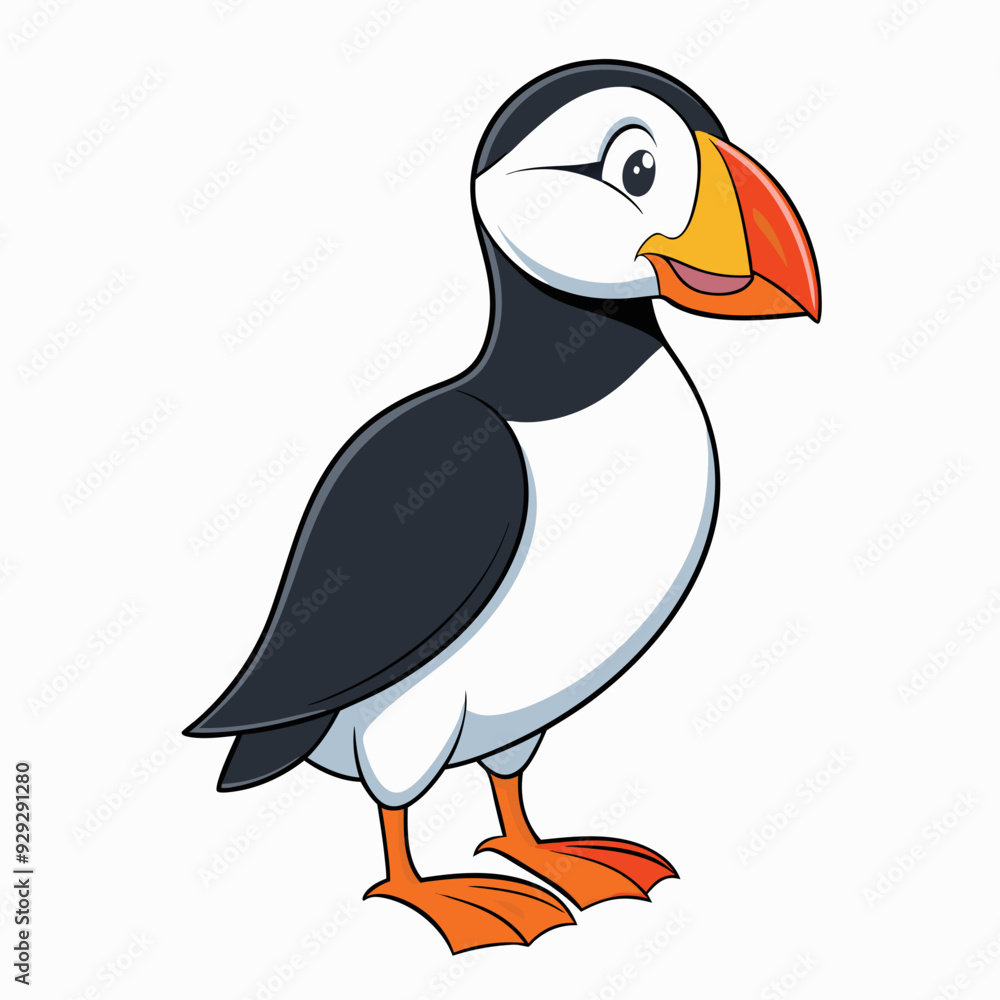 Puffin art vector illustration Puffin art vector illustration