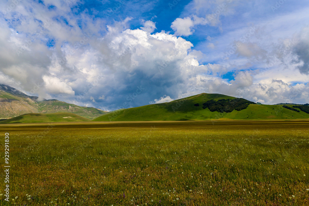 Obraz premium L'altipiano di Castelluccio di Norcia, Umbria, Italia, durante la fioritura dei campi di lenticchie, in una giornata con sole e nuvole di fine giugno 2024