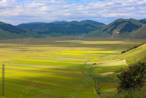 L'altipiano di Castelluccio di Norcia, Umbria, Italia, durante la fioritura dei campi di lenticchie, in una giornata con sole e nuvole di fine giugno 2024 photo