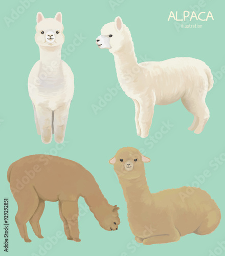 Llama and alpaca collection illustration of hand drawn