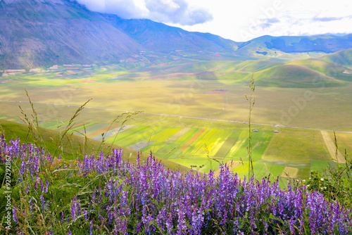 L'altipiano di Castelluccio di Norcia, Umbria, Italia, durante la fioritura dei campi di lenticchie, in una giornata con sole e nuvole di fine giugno 2024 photo