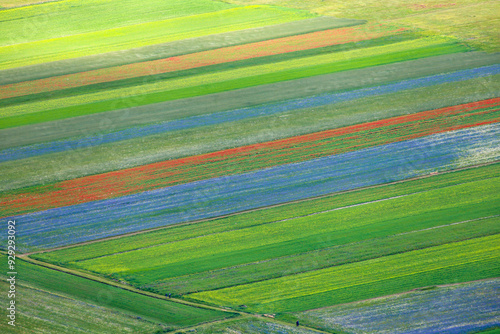 I meravigliosi colori della fioritura delle coltivazioni di lenticchie nell'altipiano di Castelluccio di Norcia, Umbria, Italia, in una giornata di sole e nuvole di fine giugno 2024 photo