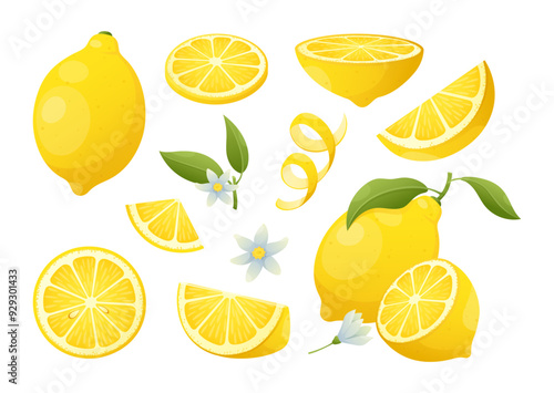 Fresh lemon fruit. Vector set of whole and cut lemon with leaves, ripe yellow slices citrus, flowers. Organic food product for lemonade, juice, vitamin c, jam, package, web. Healthy vegan food