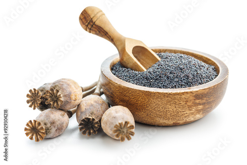 Fényképezés Dry poppy head and poppy seed in bowl isolated on white background
