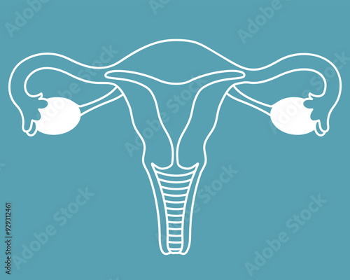 Female reproductive system line icon isolated on blue background. Vector illustration