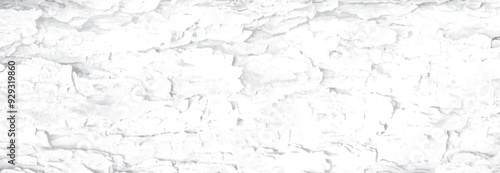 Tree bark textured background with cracks and rough edges. Organic rustic texture from nature.