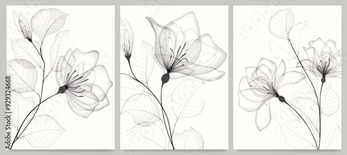 Floral art background with flowers and leaves in transparent watercolor hand drawn style. Set of botanical posters for decor, print, wallpaper, postcard, invitation, cover, interior, packaging