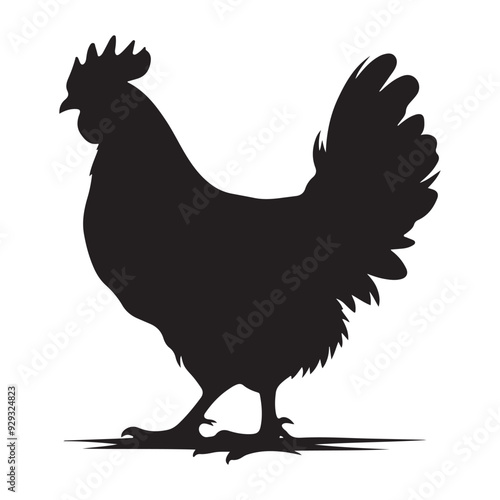 Chicken hen silhouette isolated on white background, Flat vector Farm Animal illustration