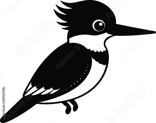 Belted Kingfisher on Vector Illustrator Design photo