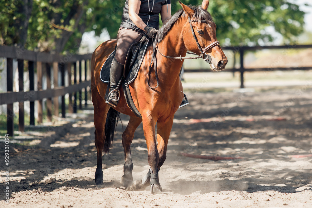 Dynamic horseback riding in a vibrant training environment creates unforgettable experiences Dynamic horseback riding in a vibrant training environment creates unforgettable experiences