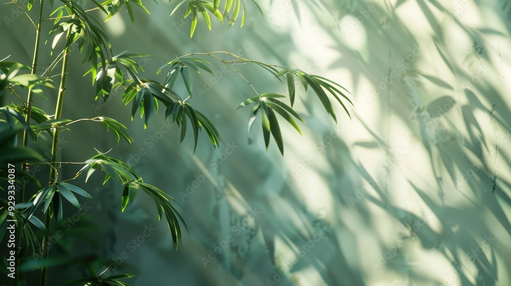 Sunlight creates shadows of bamboo leaves on a textured green wall in a serene setting Sunlight creates shadows of bamboo leaves on a textured green wall in a serene setting