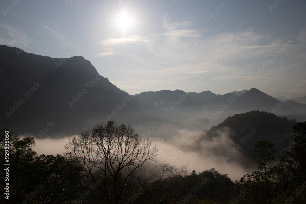 Fototapeta premium Misty Mountain Sunrise