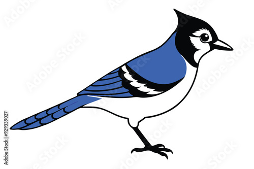 Blue Jay silhouette vector art illustration.