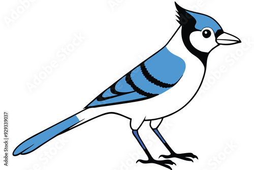 Blue Jay silhouette vector art illustration.