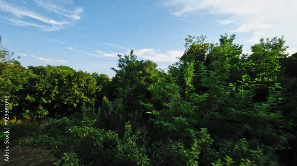 Flying through dense trees in pursuit of a drone, high-speed racing of technology. Drone shooting FPV, 4K Flying through dense trees in pursuit of a drone, high-speed racing of technology. Drone shooting FPV, 4K