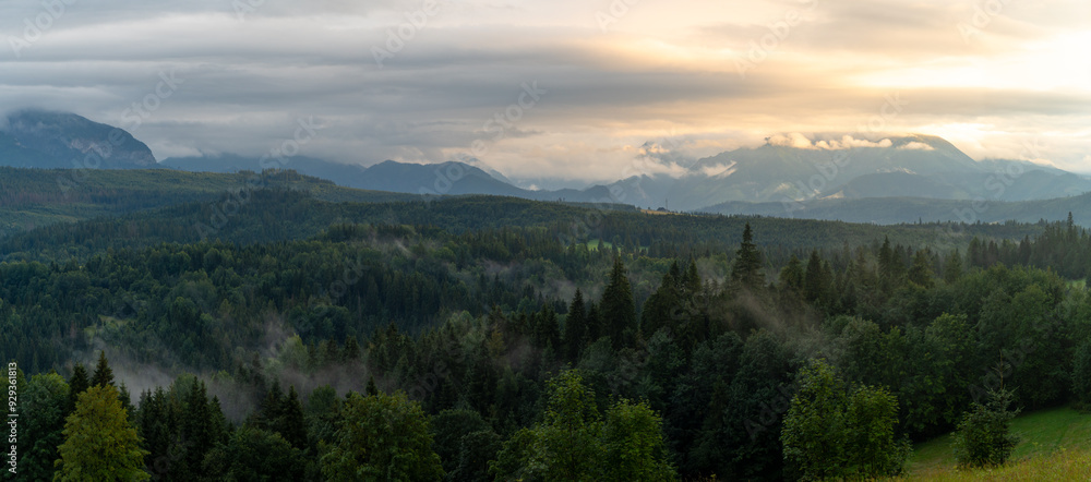 Panorama z Przełęczy nad Łapszanką na Tatry i las w dolinie po deszczu.