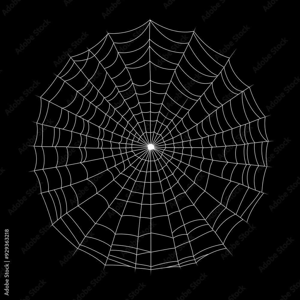 Obraz premium black and white spider web illustration