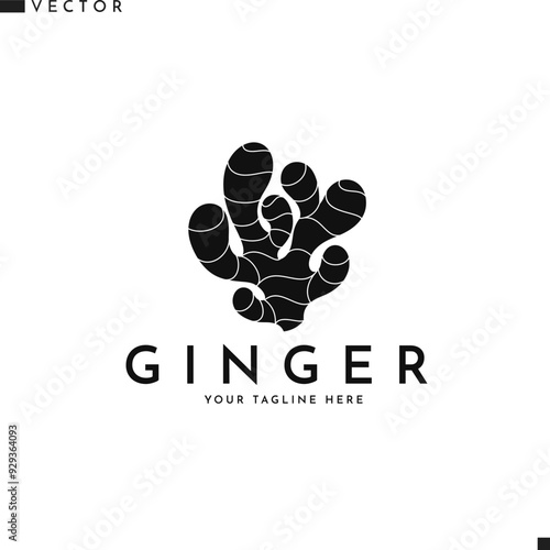 Ginger logo vector. IIsolated ginger root on white background