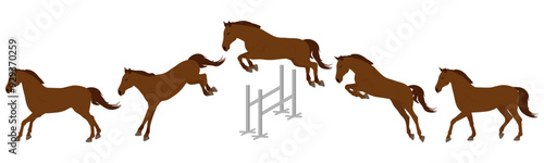 Show jumping, equestrian sports. Jumping horse in barrier. Vector illustration