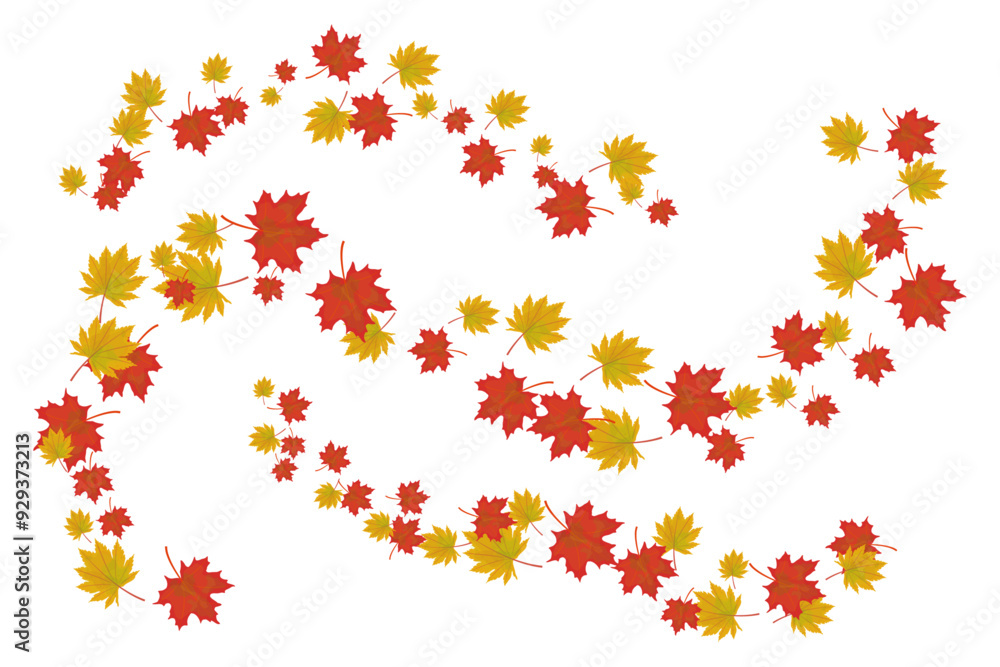 Autumn maple leaves are flying in the wind Autumn maple leaves are flying in the wind