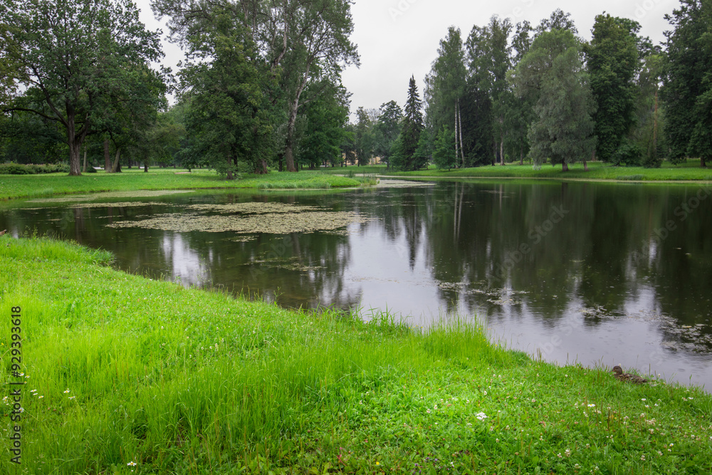 A serene lake mirrors surrounding trees and grasses, enveloped in a peaceful ambiance, creating a harmonious blend of nature on an overcast morning. A serene lake mirrors surrounding trees and grasses, enveloped in a peaceful ambiance, creating a harmonious blend of nature on an overcast morning.