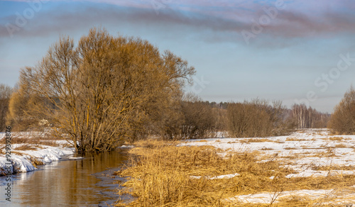 Wallpaper Mural A tree with yellow leaves stands next to a river Torontodigital.ca