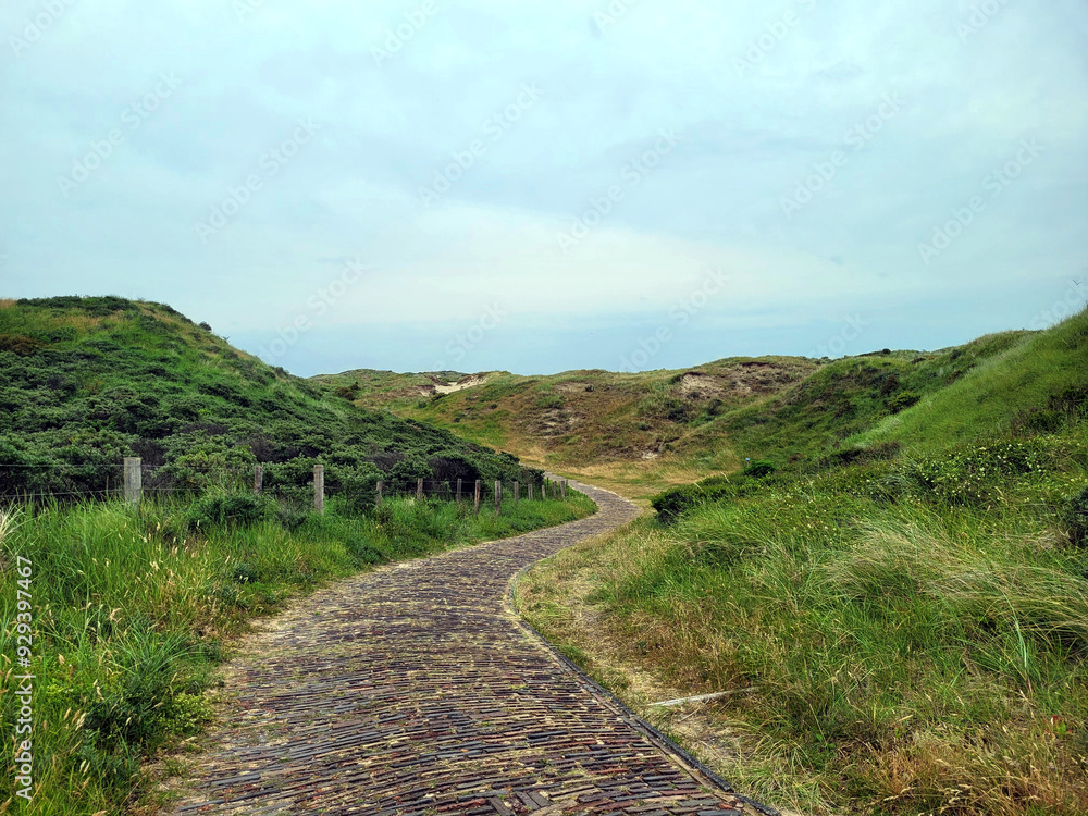 Road in the green dunes Road in the green dunes