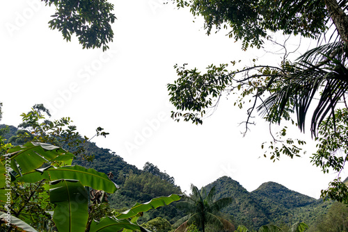 View of green jungle, mountain and hills. Panoramic view of nature in Lumiar, Rio de Janeiro. Transparent background. photo