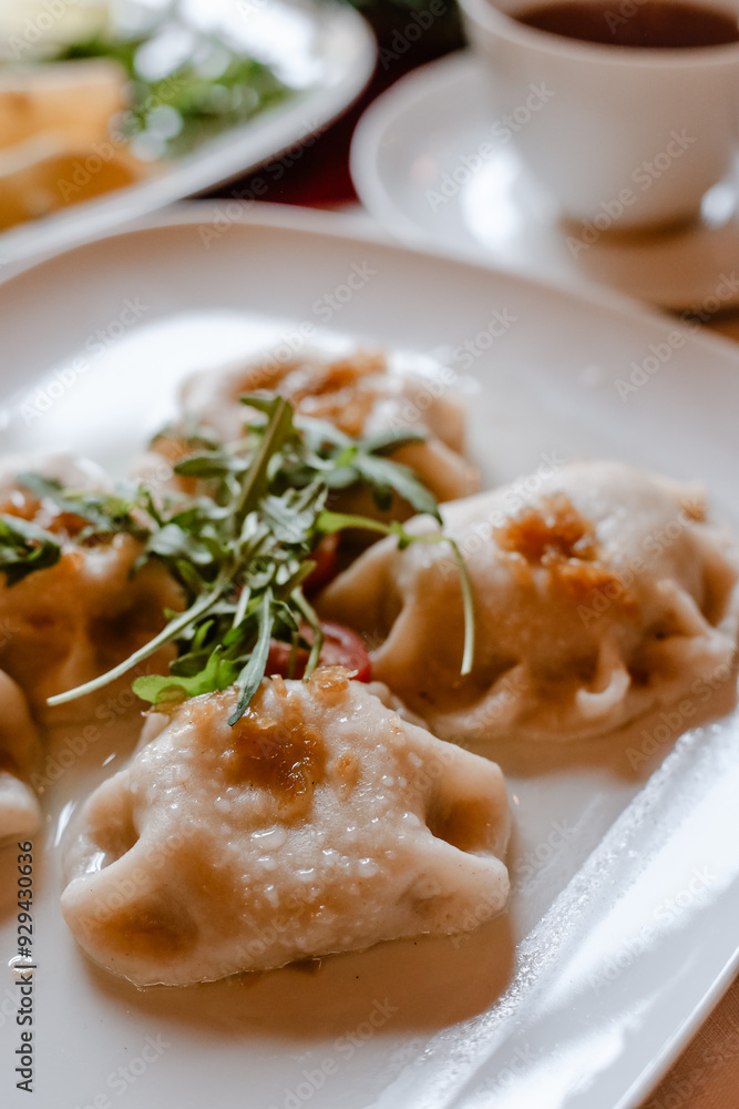 Fried dumplings with sauce and herbs on a white plate. Fried dumplings with sauce and herbs on a white plate.