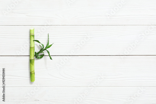 Green bamboo stem on white ...