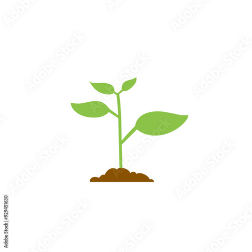 illustration of plant growth